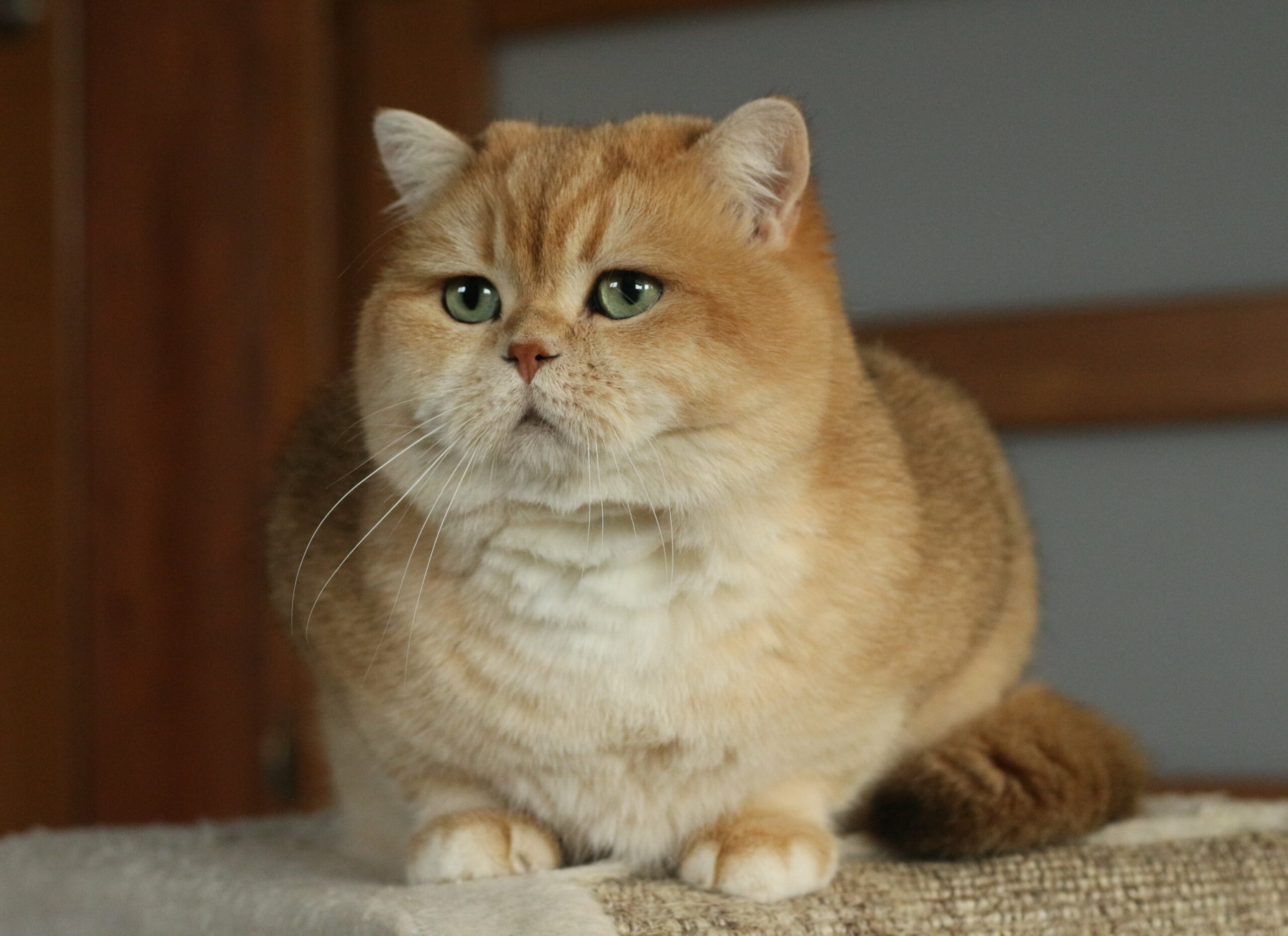 IMG_2104-min IMG_2104-min